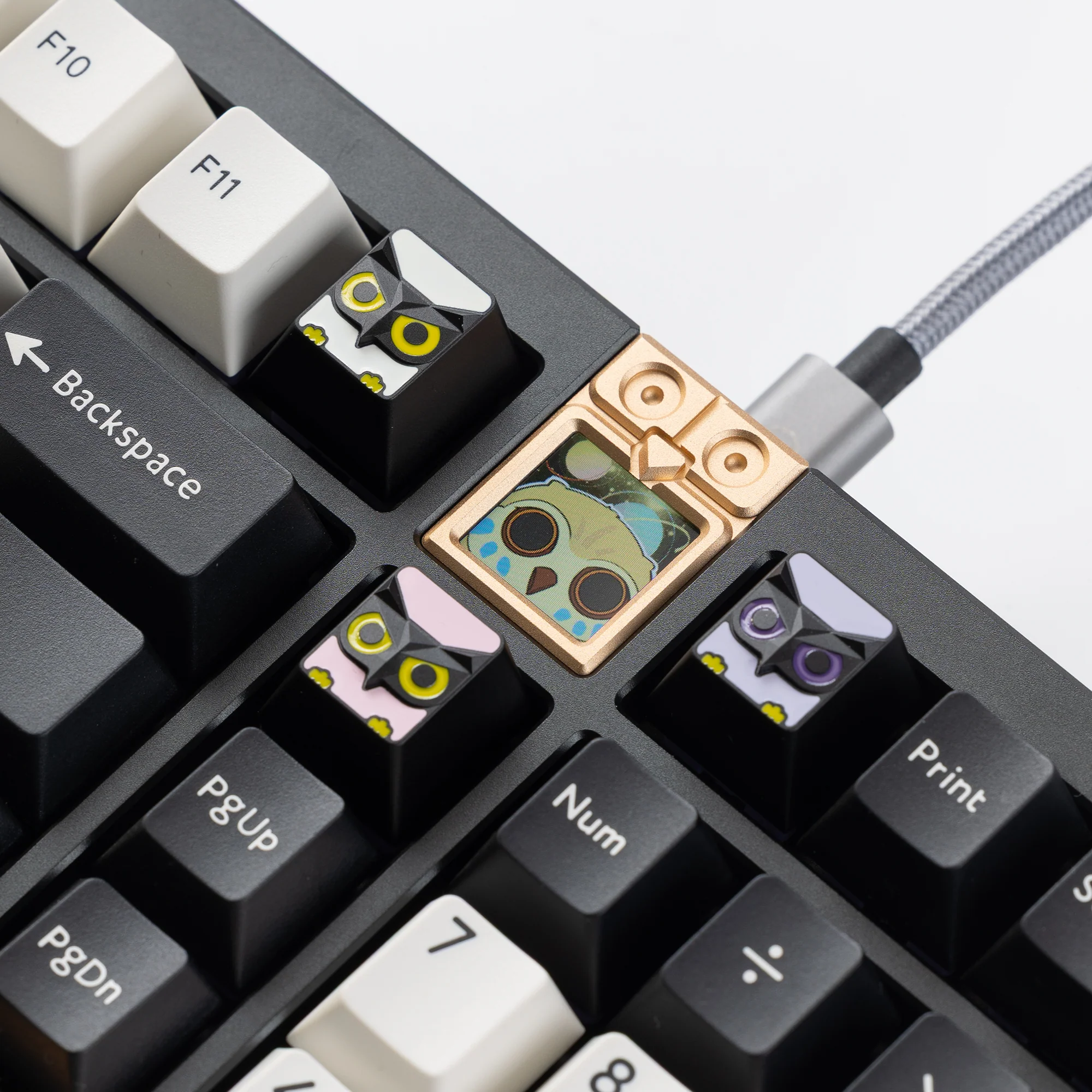 OWL Artisan Key - Image 4