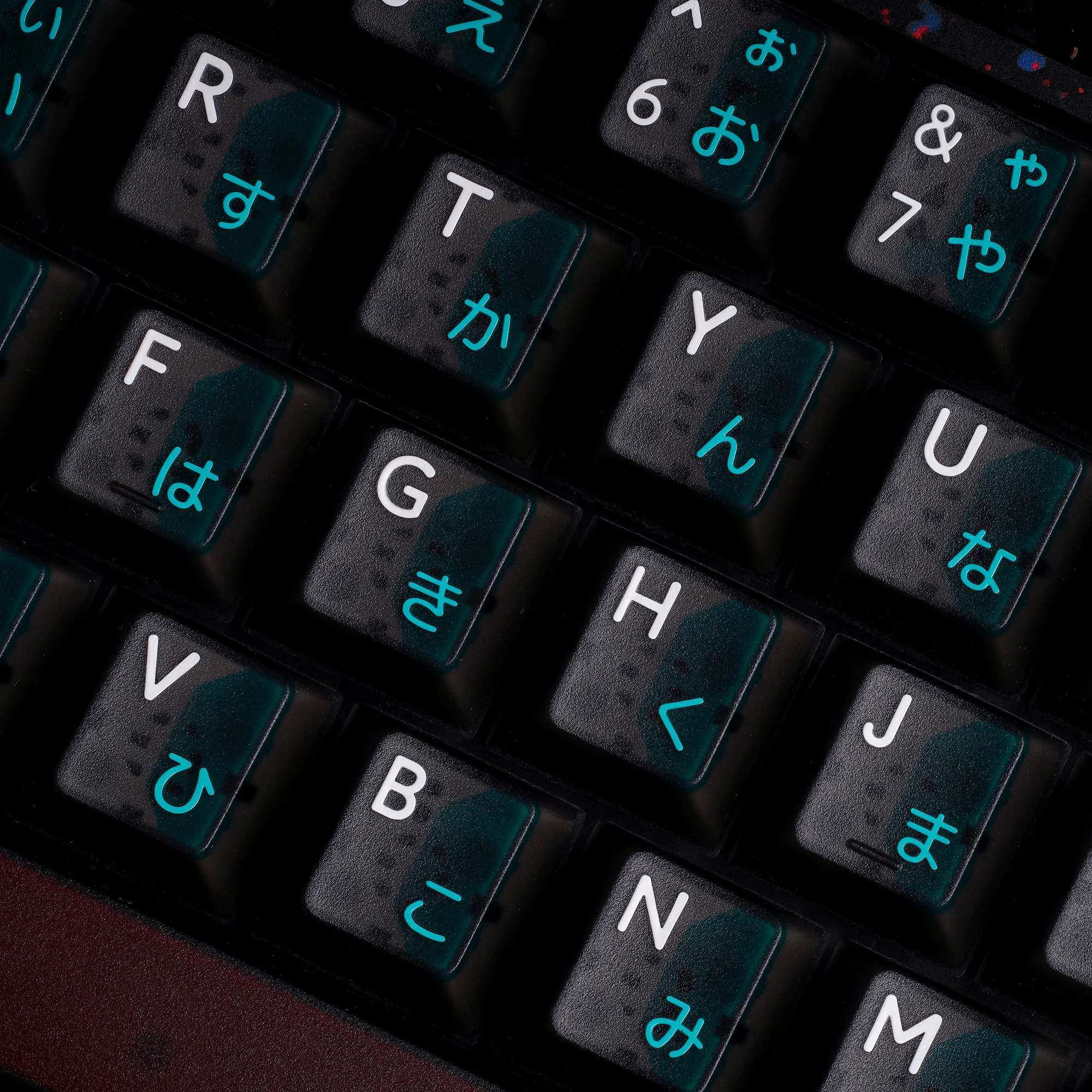 PBTfans Neon - Image 13