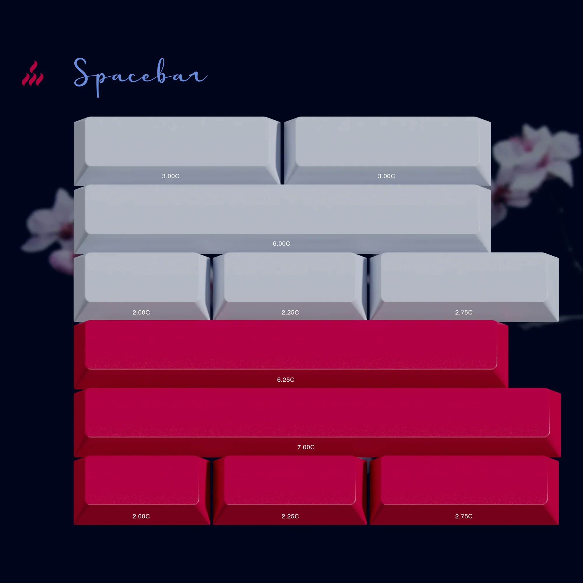 PBTfans Spacebar Kit Collection - Image 14